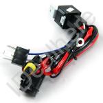 e-shop zdarma
