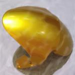 e-shop zdarma
